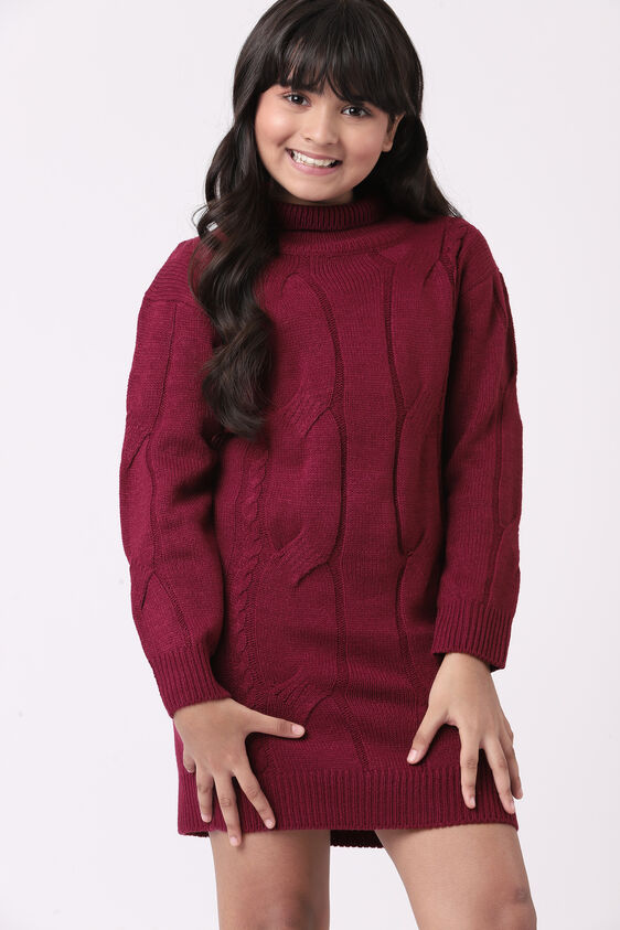 Wine Self Design Straight Dress, Wine, image 1